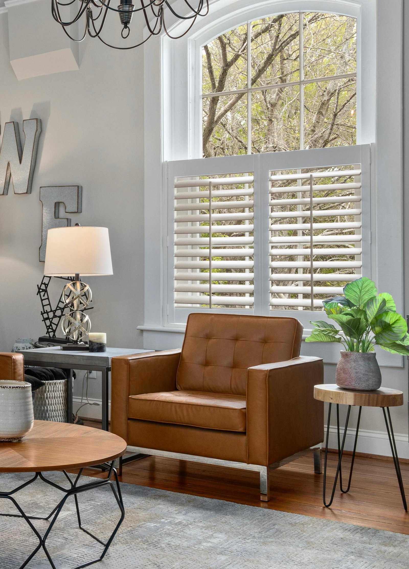 pexels curtis adams 1694007 24245749